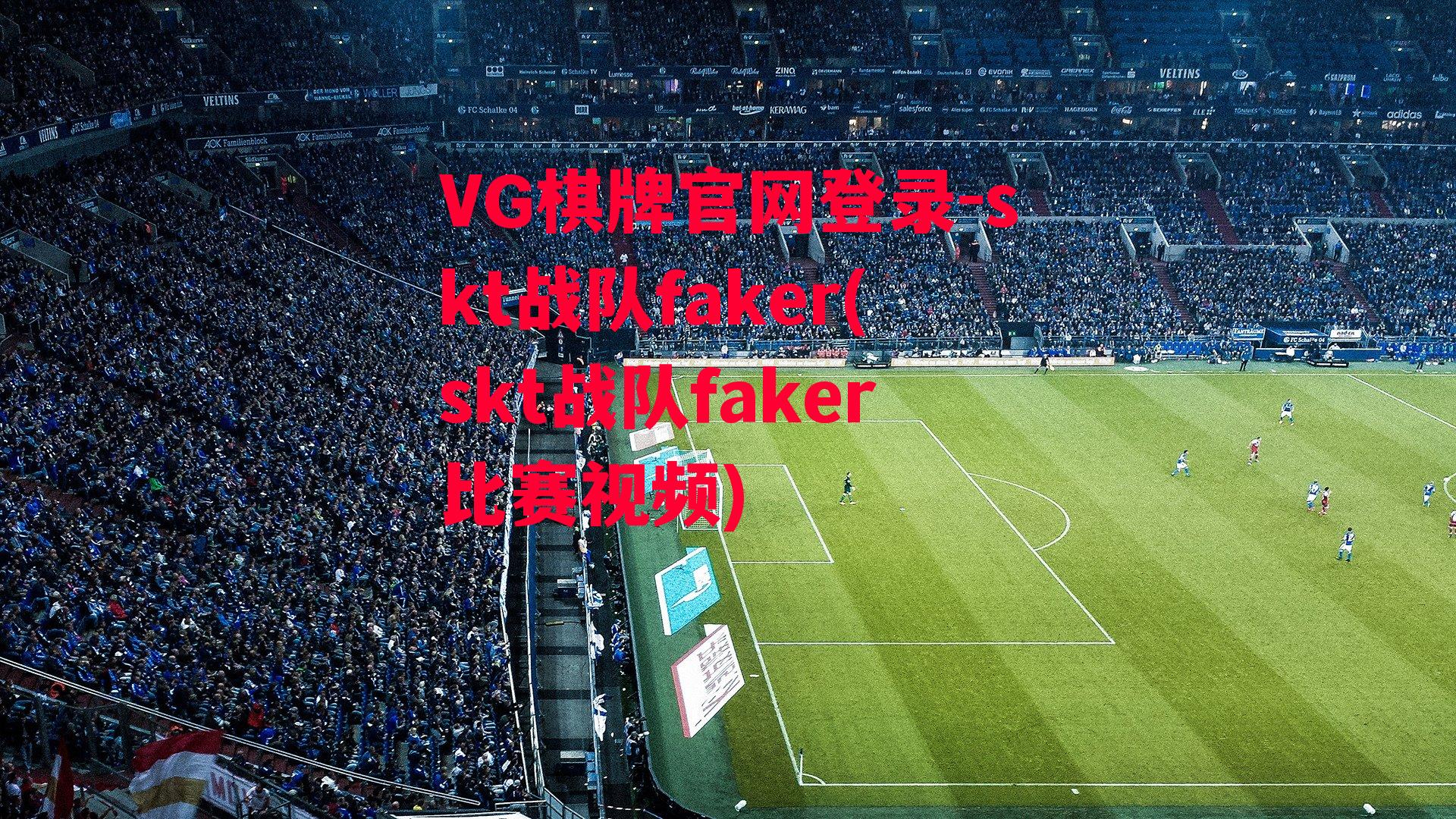 VG棋牌官网登录-skt战队faker(skt战队faker比赛视频)